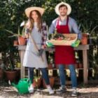 DR‑14 – Finanțare de 50.000 € pentru modernizarea fermelor mici din România